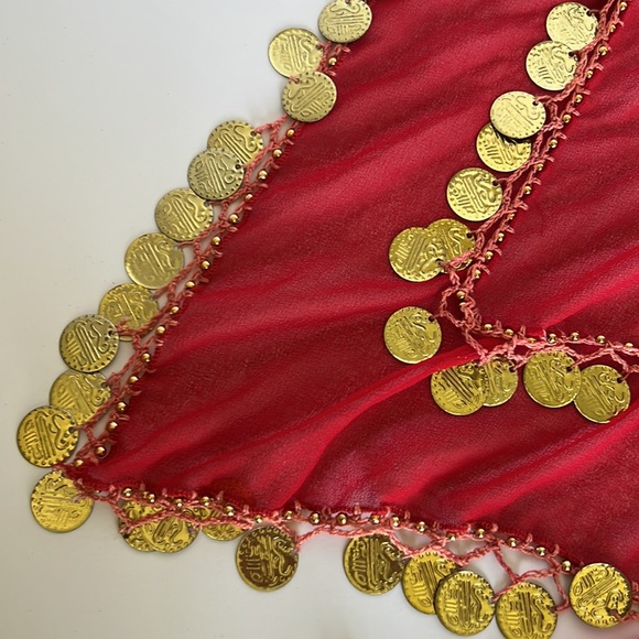 Belly Dancer Belt Skirt Scarf with Dangling Coins - Picture 3 of 3